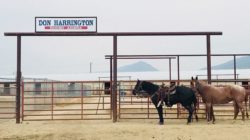 Don Harrington Rodeo Arena, Butte, Montana
