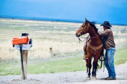 Fred Hirschy and "Ricky Bobby, hirschy ranch, jack hirschy livestock, harrington hirschy horses