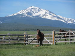 Hirschy-Mountain, big hole valley, hirschy ranch, jack hirschy livestock, harrington hirschy horses