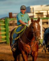 Riley-Currin-on-Dreamer, harrington hirschy horses