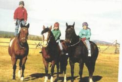 harrington hirschy horses, hirschy ranch