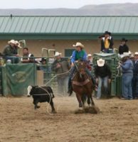 Brooke-roping-on-Lucky-Bee-Doll-at-a-West-Coast-Region-college-rodeo. harrington hirschy horses