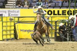 Brooke-roping-on-Rastus-Bunny-Bonnie-at-the-14-CNFR.