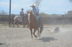 Branding at the Hirschy Ranch, jack hirschy livestock, harrington hirschy horses