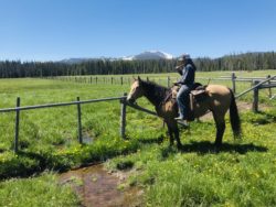 hirschy ranch, harrington hirschy horses, jack hirschy livestock