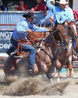 Tyler Hedrick calf roping on juice, harrington hirschy horses