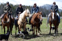 Cowgirl crew at the Hirschy Ranch, Harrington Hirschy Horses, jack hirschy livestock