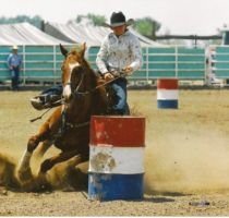 Murphy-and-Leroys-Duke. harrington hirschy horses