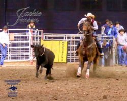 Murphy-and-Montana-Dasher-Snap-at-the-MSU-college-rodeo. harrington hirschy horses