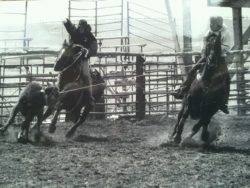 Murphy-and-Montana-Dasher-roping-in-a-snow-storm-at-a-high-school-rodeo harrington hirschy horses