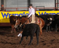 Murphy-and-Starlight-Deuce-cutting-at-the-National-High-School-Finals-Rodeo, harrington hirschy horses